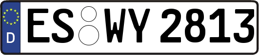 ES-WY2813