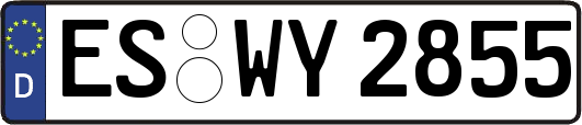 ES-WY2855
