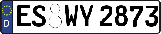 ES-WY2873