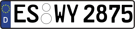 ES-WY2875