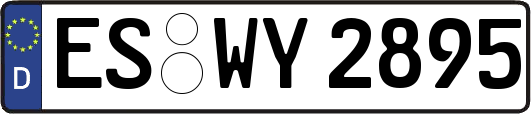 ES-WY2895