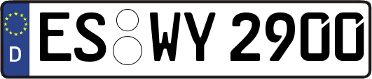 ES-WY2900