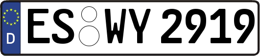 ES-WY2919