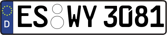 ES-WY3081
