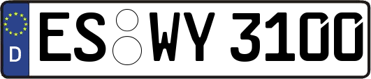 ES-WY3100