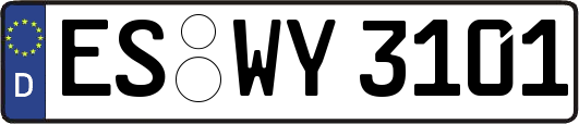 ES-WY3101