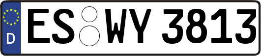 ES-WY3813