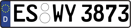 ES-WY3873