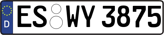 ES-WY3875