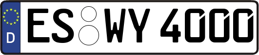 ES-WY4000