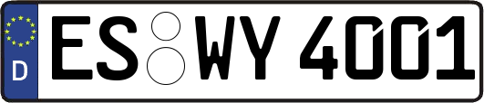 ES-WY4001