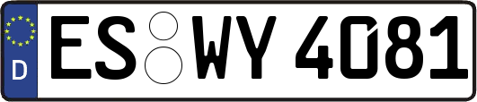 ES-WY4081