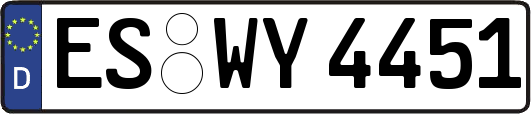 ES-WY4451