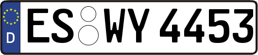 ES-WY4453
