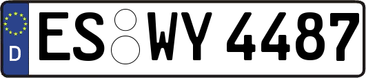 ES-WY4487