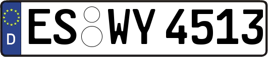 ES-WY4513