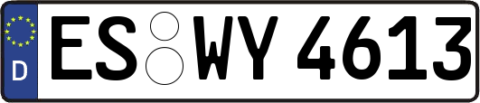 ES-WY4613