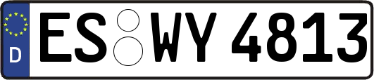 ES-WY4813