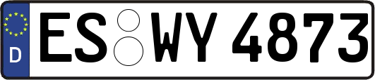 ES-WY4873