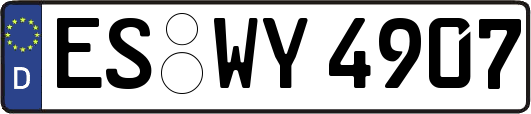 ES-WY4907