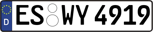 ES-WY4919