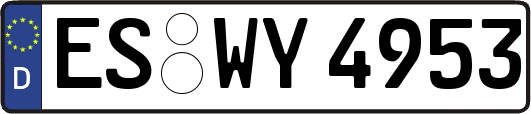 ES-WY4953