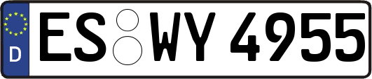 ES-WY4955