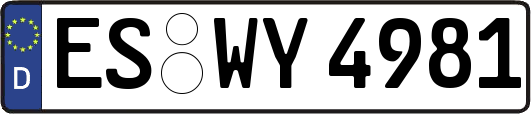 ES-WY4981