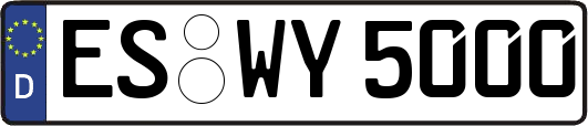 ES-WY5000