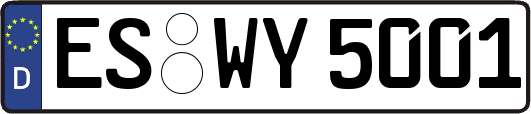 ES-WY5001