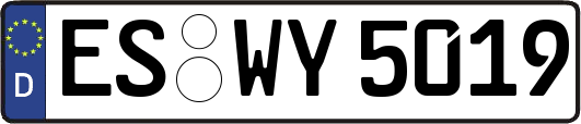 ES-WY5019