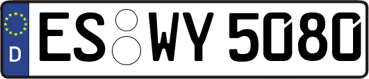 ES-WY5080