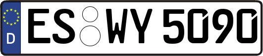 ES-WY5090