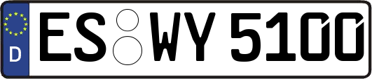 ES-WY5100