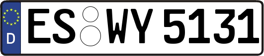 ES-WY5131