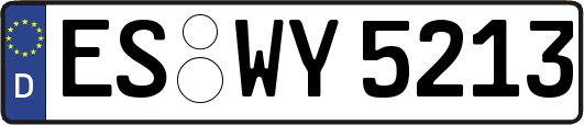 ES-WY5213