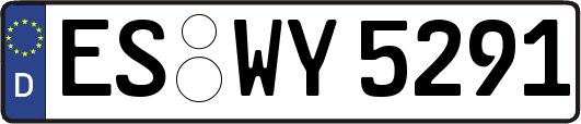 ES-WY5291