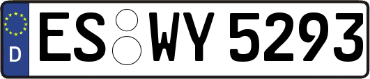 ES-WY5293