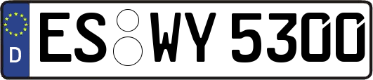 ES-WY5300