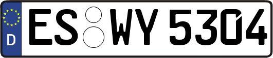 ES-WY5304