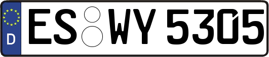 ES-WY5305