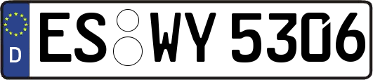 ES-WY5306