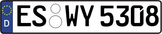 ES-WY5308