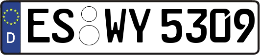 ES-WY5309