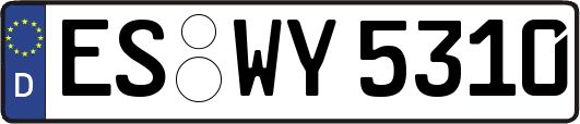 ES-WY5310