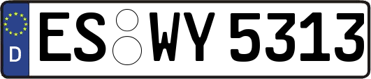 ES-WY5313