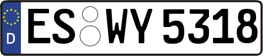 ES-WY5318