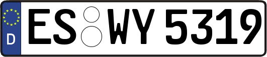 ES-WY5319
