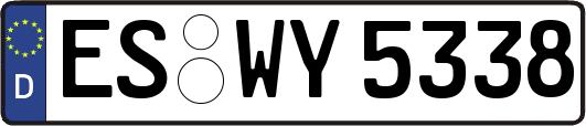 ES-WY5338