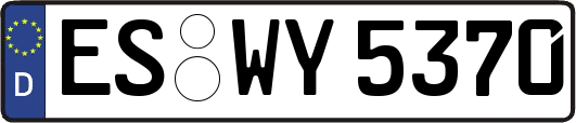 ES-WY5370